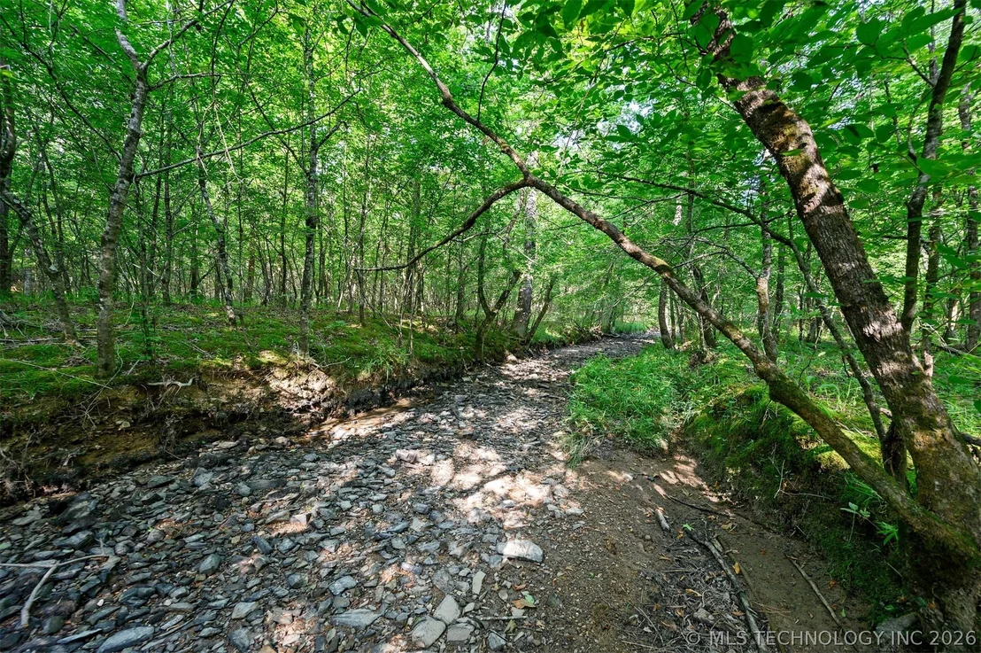 Photo of 66 Aged Acacia Trail