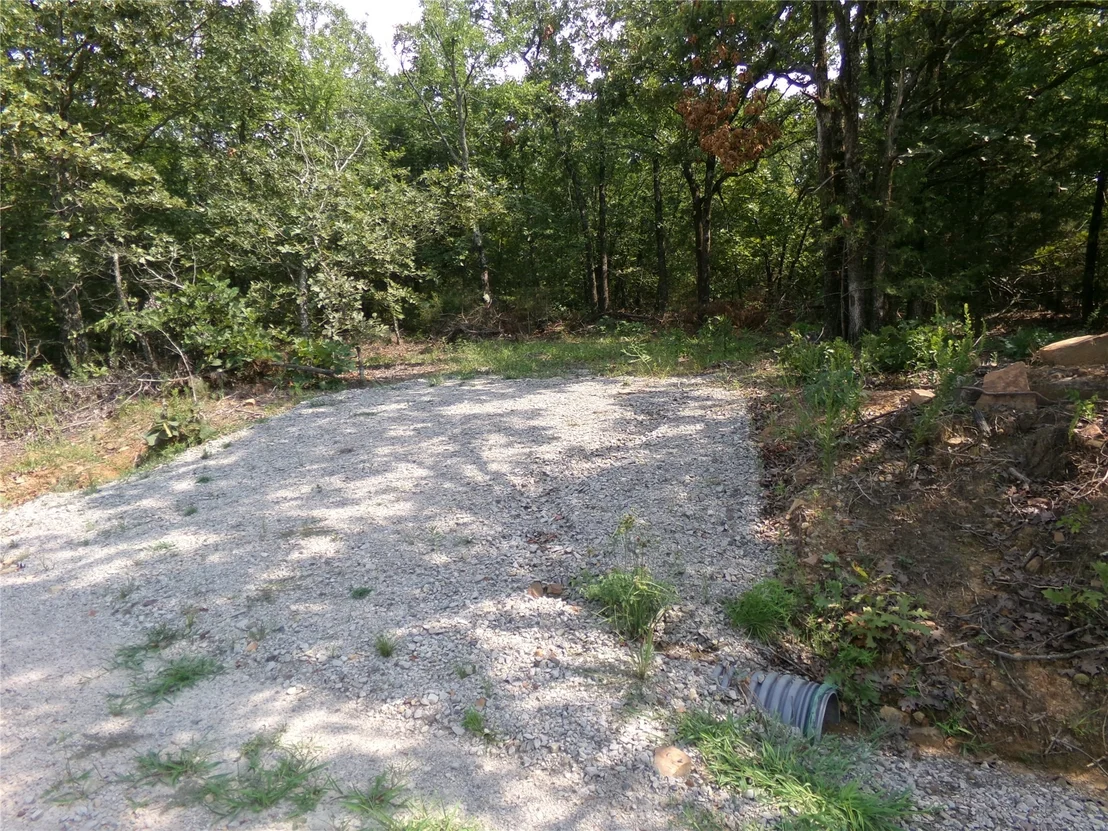 Photo of Bus Loop Road