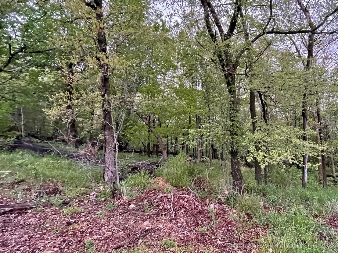 Photo of 1229 Pheasant Run Road