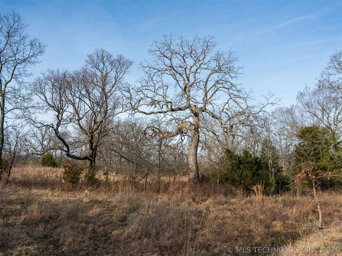 Photo of 235 County Road 2732