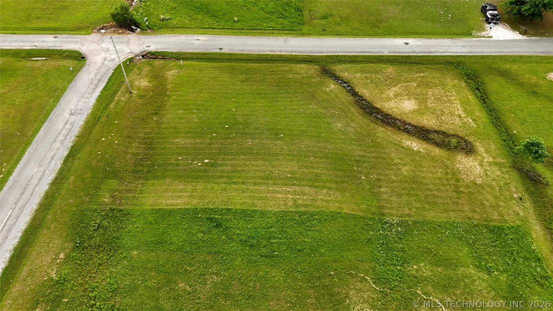Photo of 21 Tanglewood