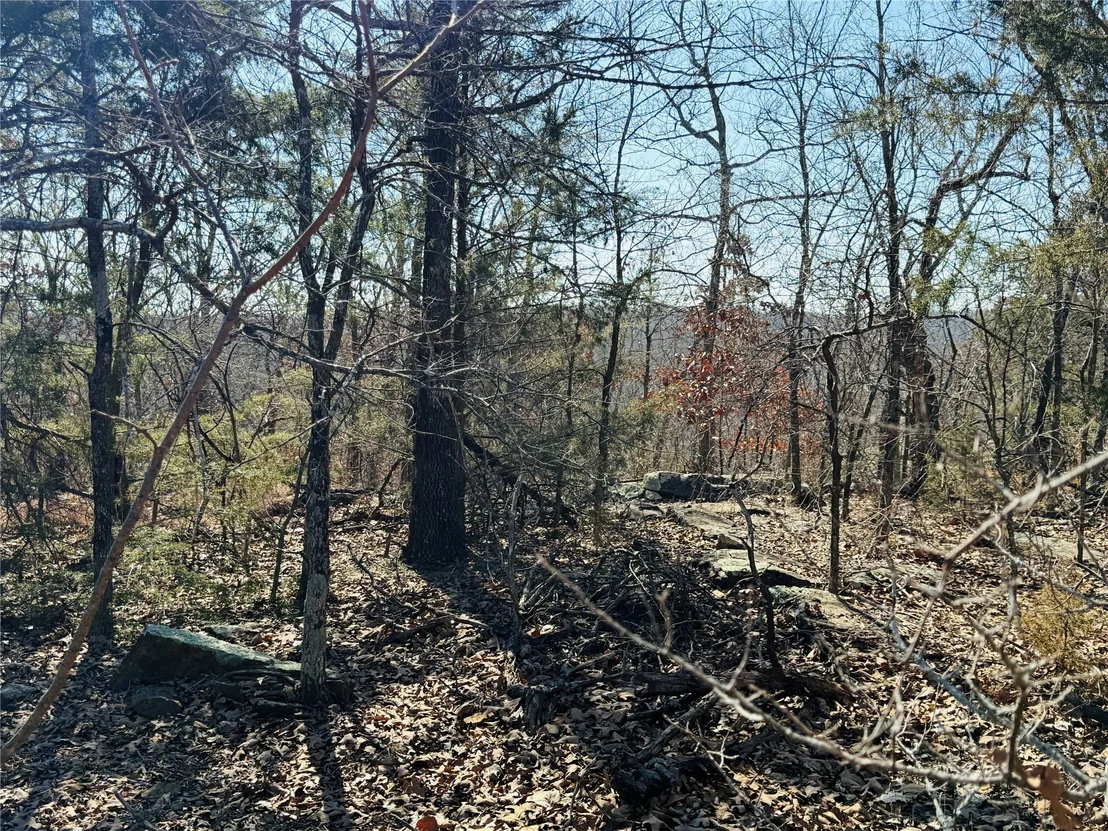 Photo of Mountain View Road