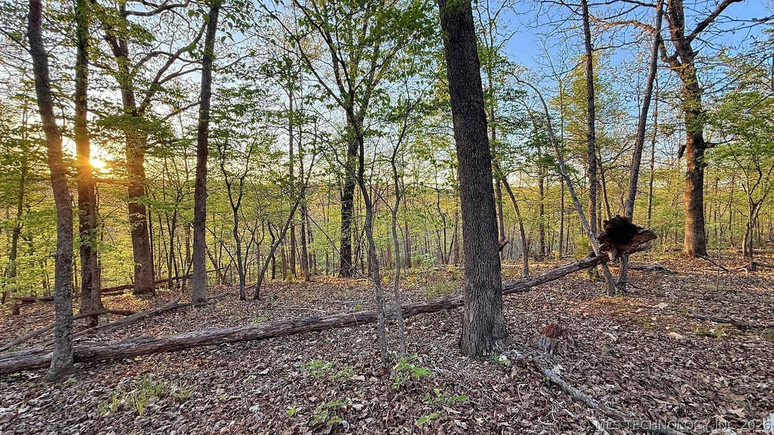 Photo of 2345 Overlook Drive