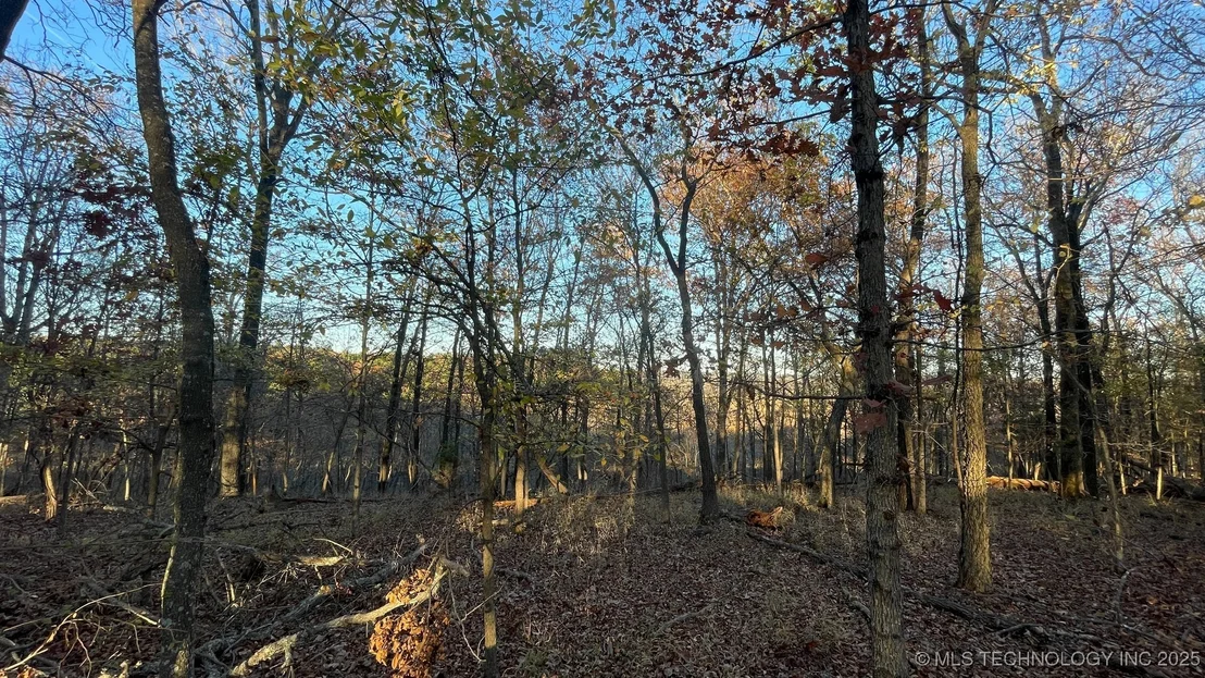 Photo of 1471 Birchbark Drive