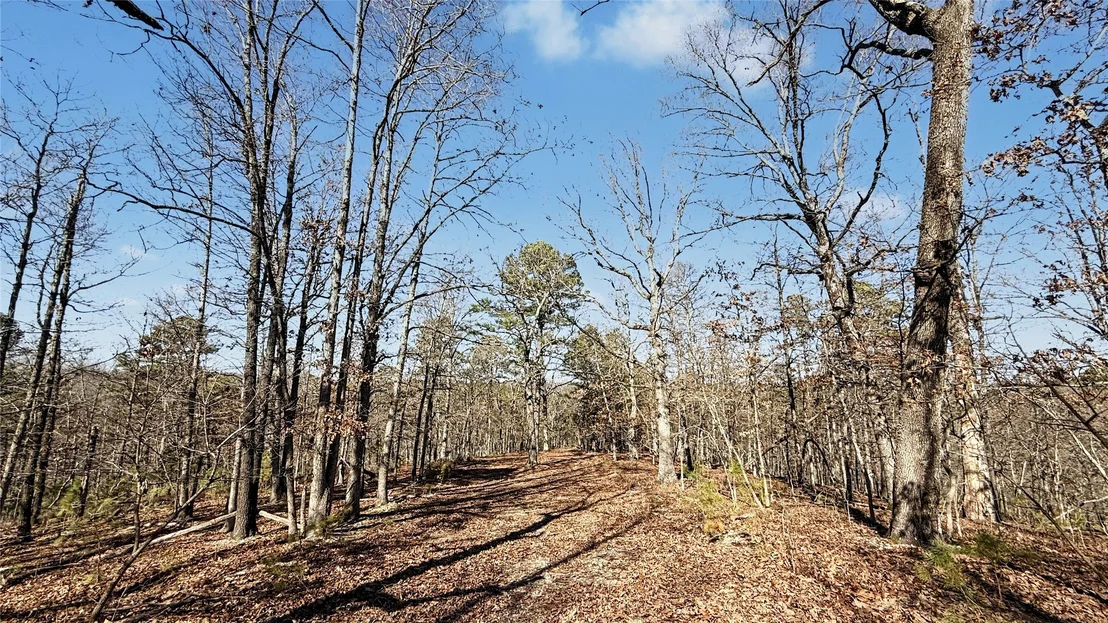 Photo of 930 Pine Bark Trail