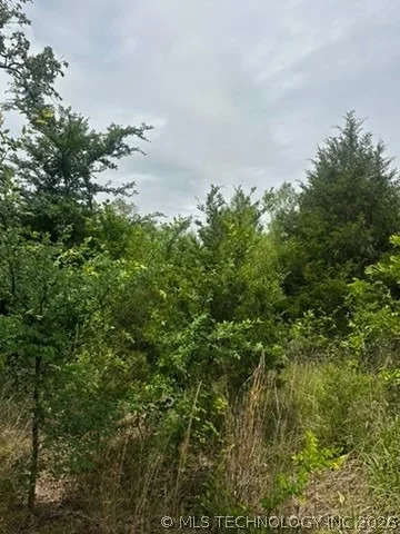 Photo of 958 S Buffalo Road