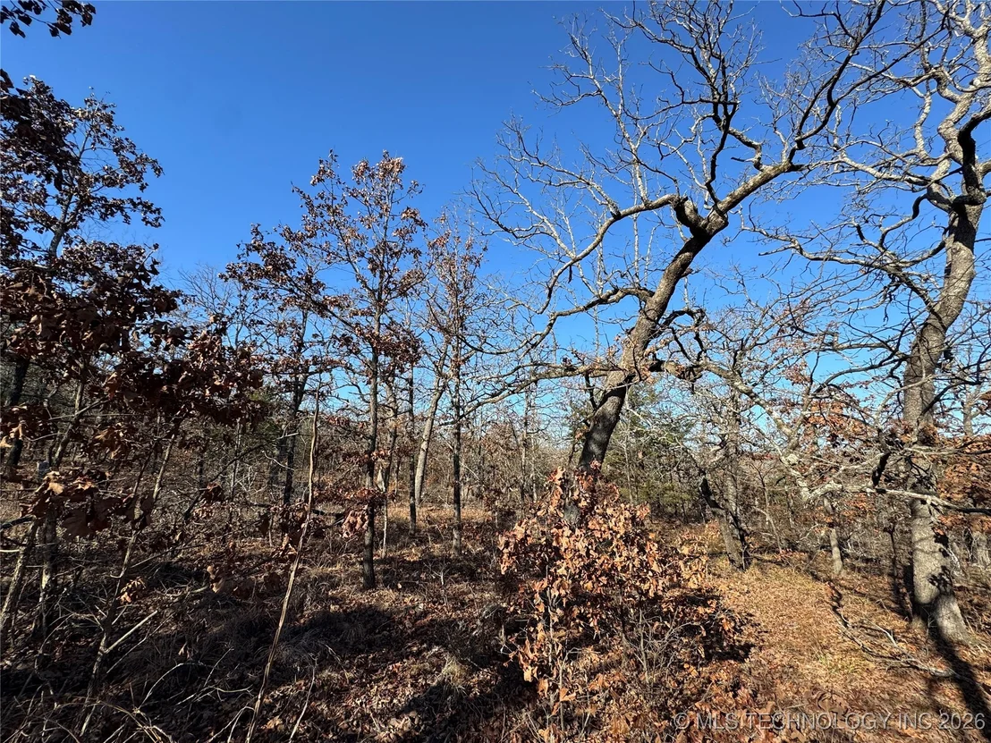 Photo of 2501 Lott Bottom