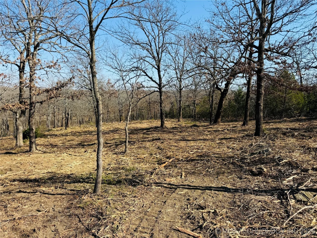 Photo of 0 Falcon Lane