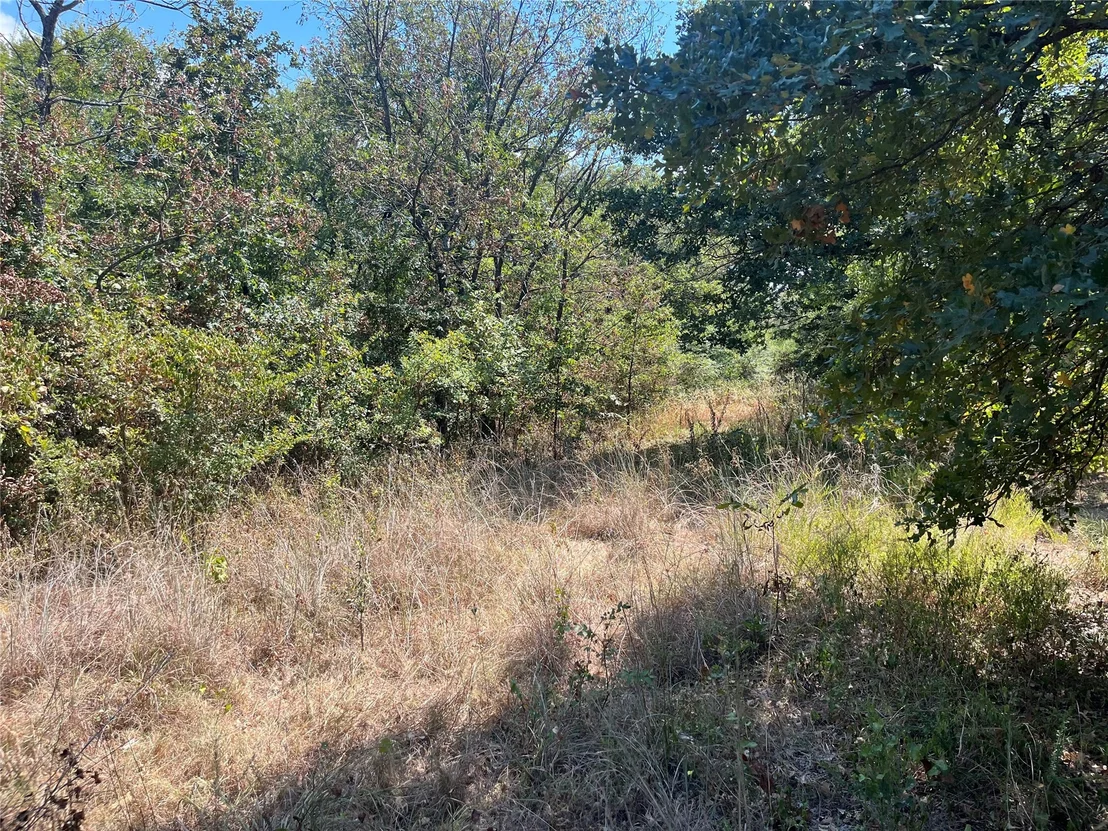 Photo of Kickapoo Avenue