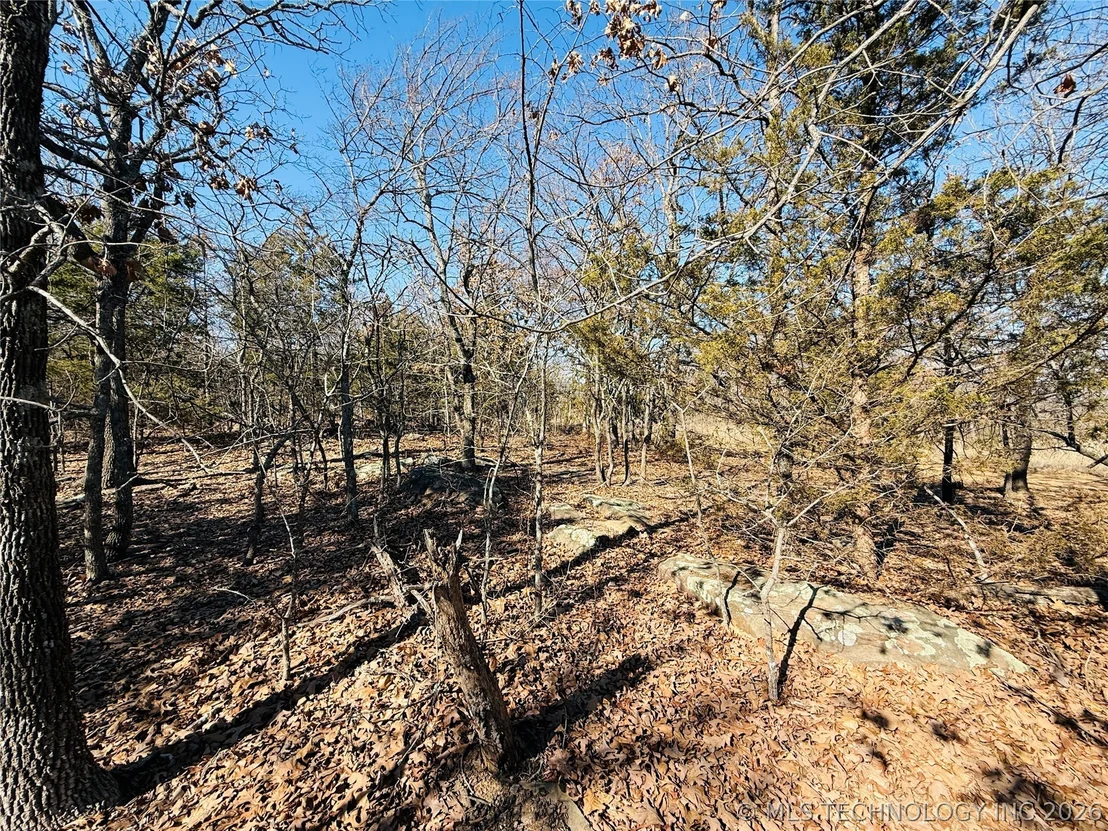 Photo of Mountain View
