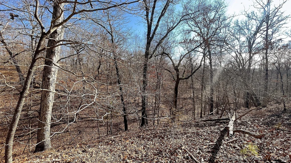 Photo of 2361 Overlook Trace
