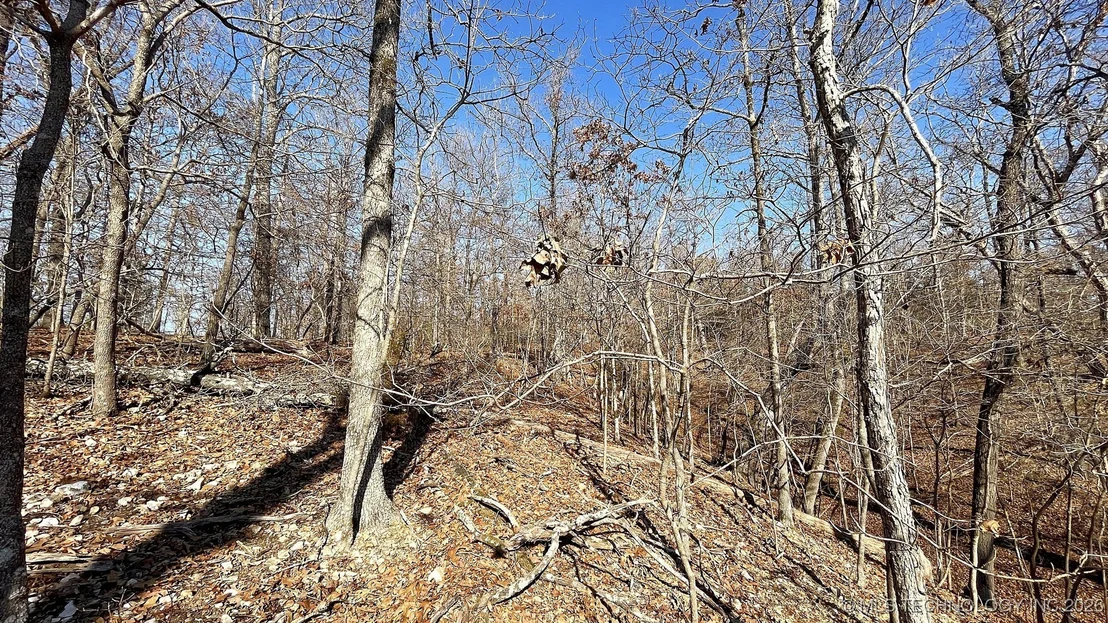 Photo of 2361 Overlook Trace