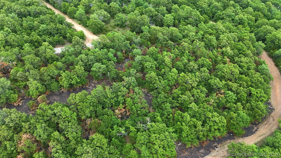 Photo of Eagle Bluff