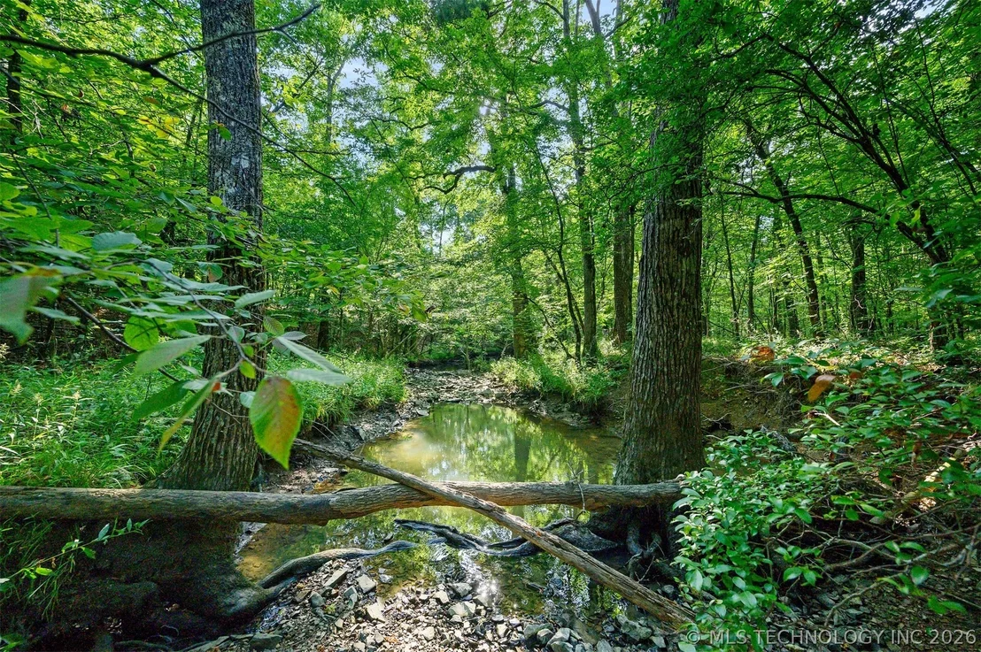 Photo of 66 Aged Acacia Trail