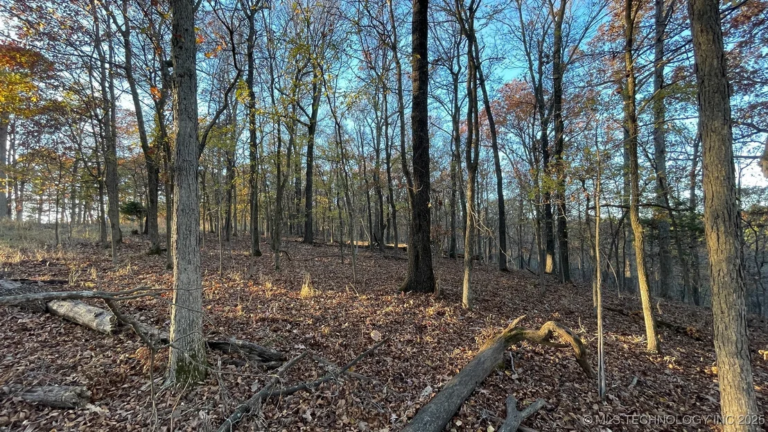 Photo of 1471 Birchbark Drive