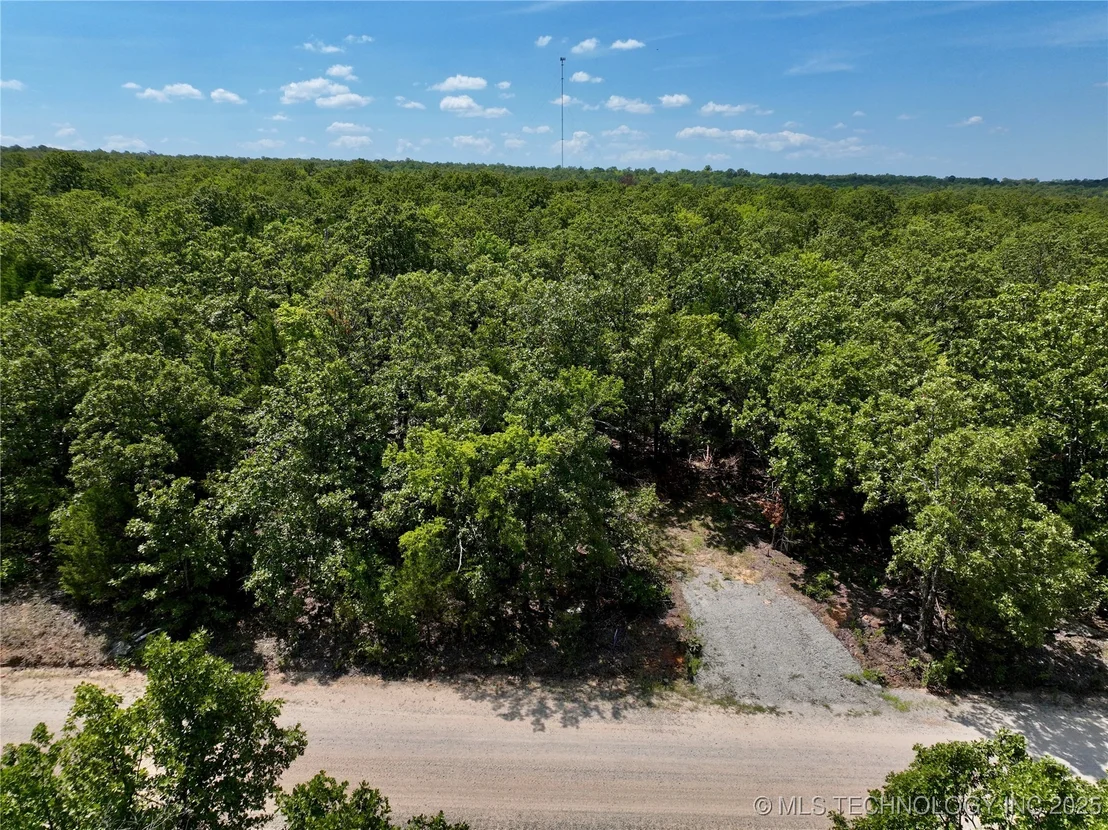 Photo of Bus Loop Road