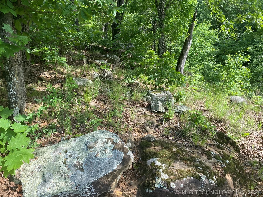 Photo of 12 Cherokee Hills