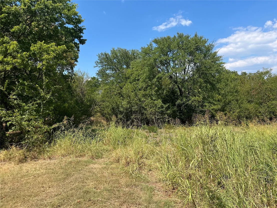 Photo of Kickapoo Avenue