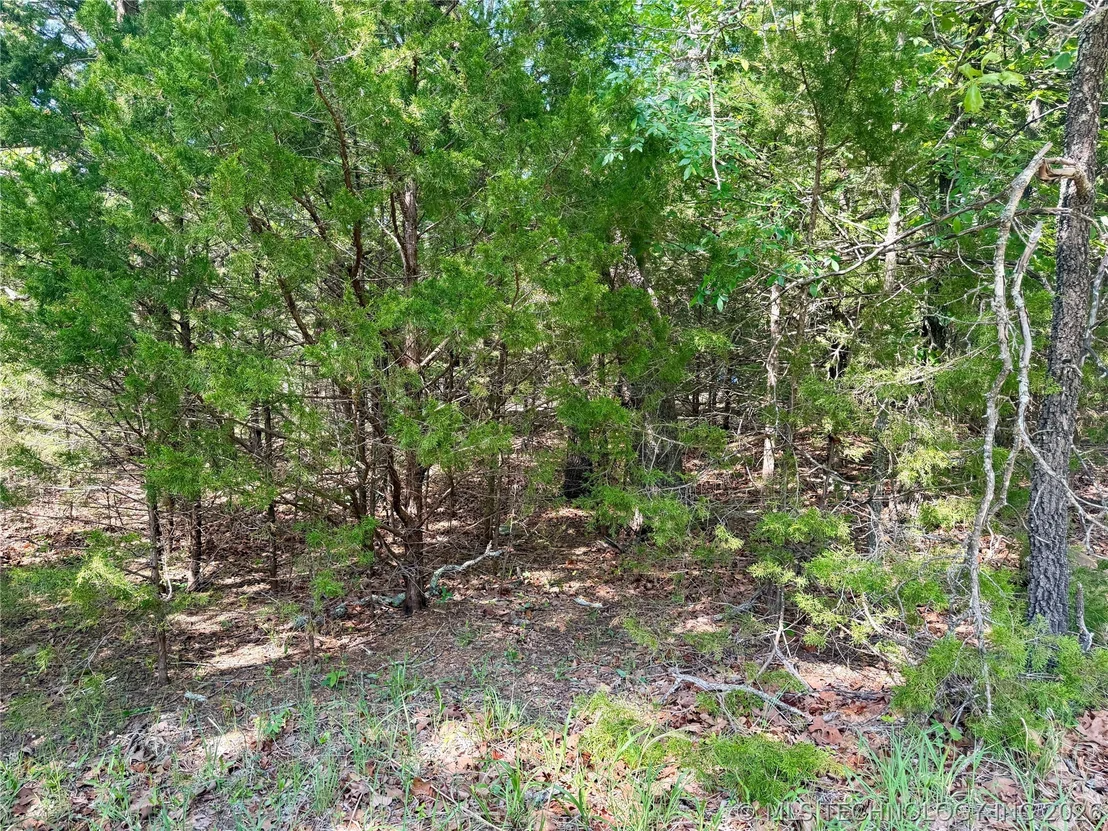 Photo of 17 Council Tree Drive