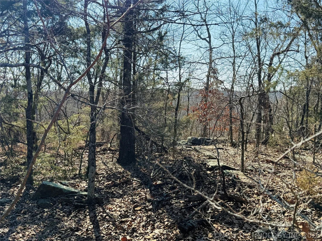 Photo of Mountain View