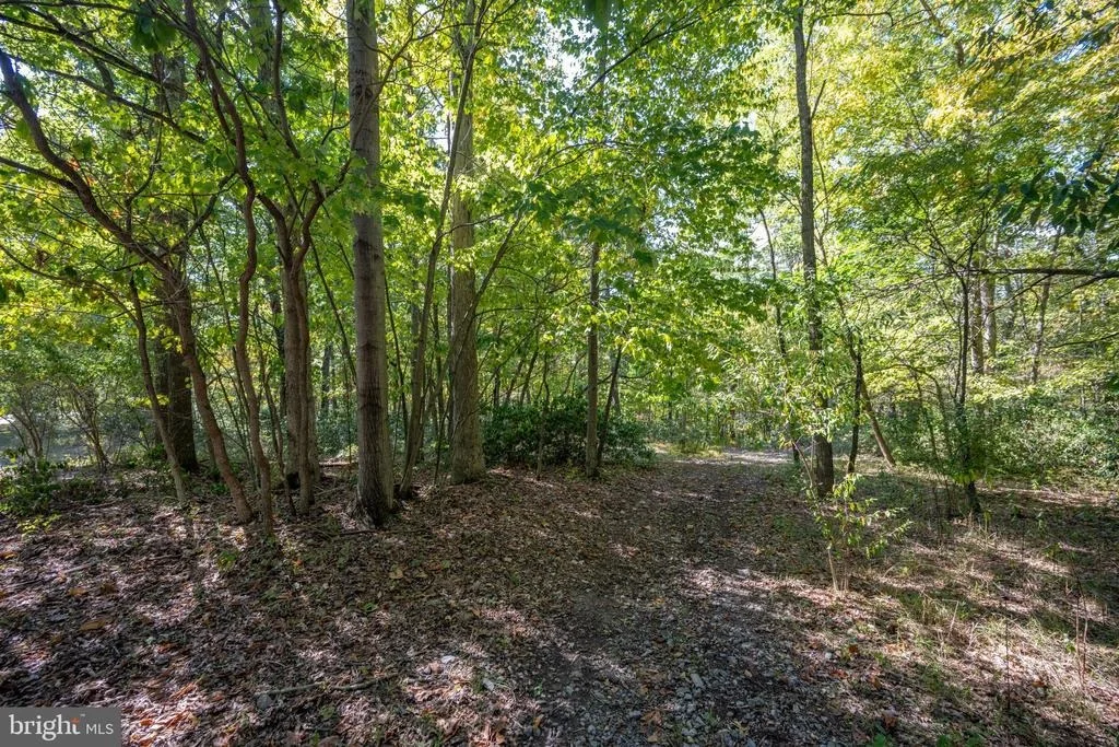 Photo of LOT 9 NORMAS WAY
