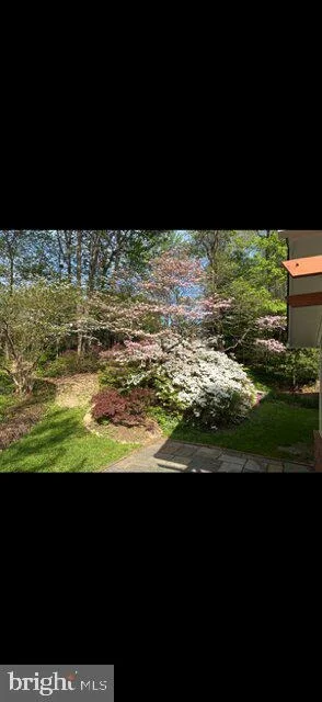 Photo of 2213 APPLE TREE LANE