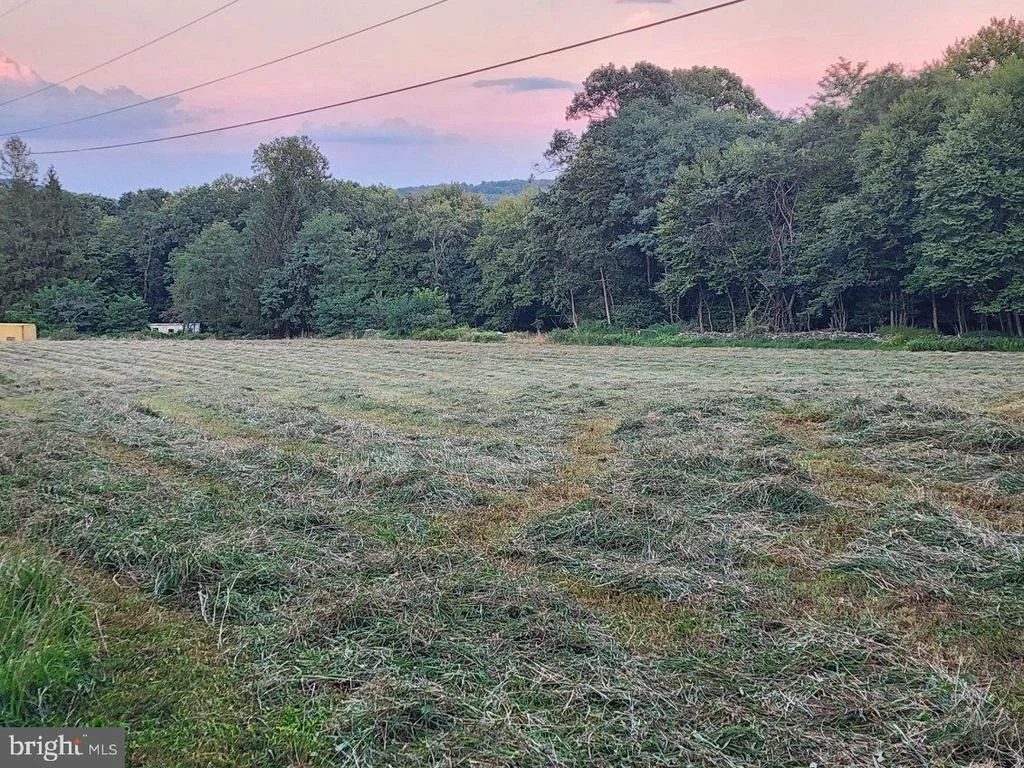 Photo of 14417 RIDENOUR ROAD