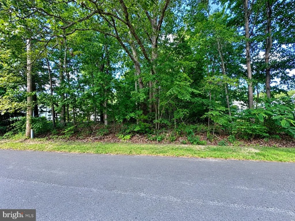 Photo of 10005 MASON ROAD