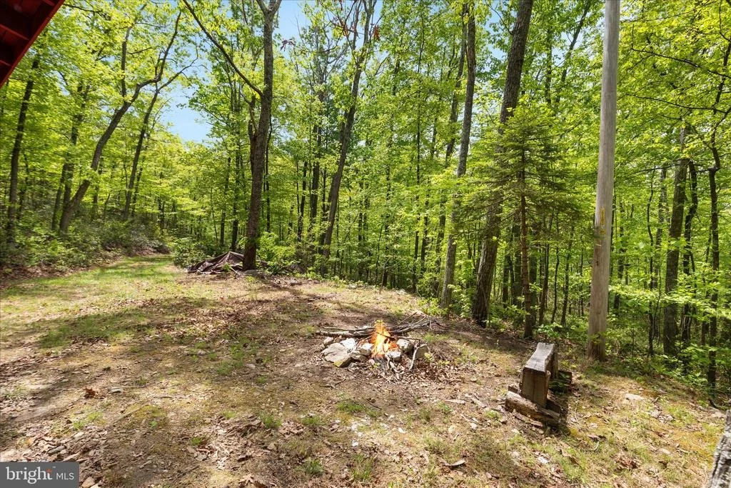 Photo of 551 SAWLOG