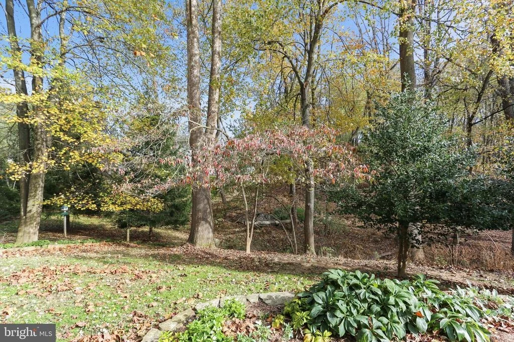 Photo of 19005 PLUMMER DRIVE