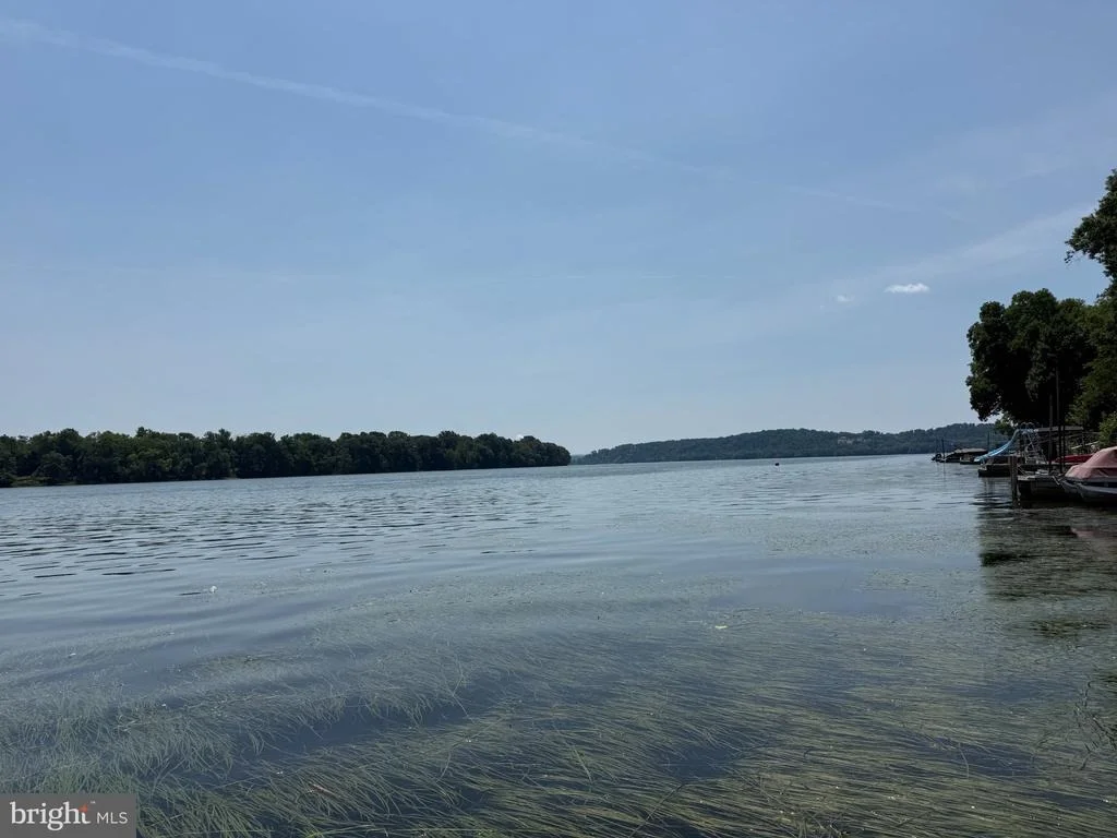 Photo of 49 BEECH ISLAND