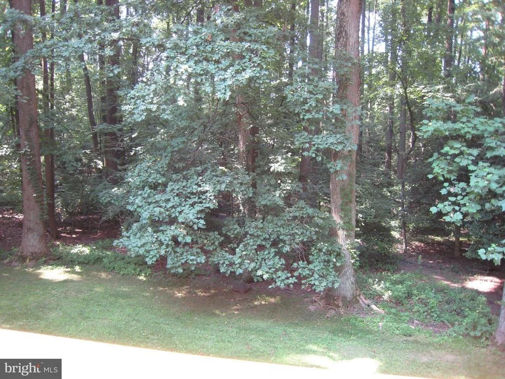 Photo of 