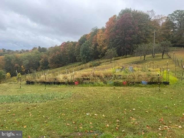 Photo of 11692 ADOLPH ROAD
