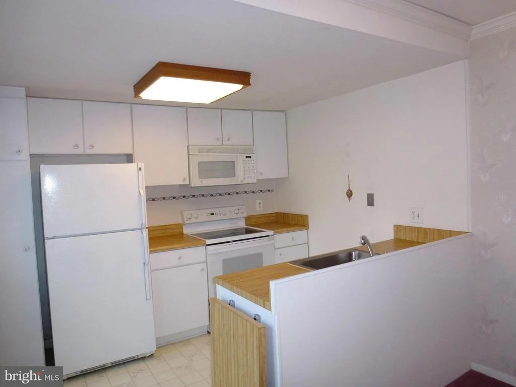 Photo of Unit 161B at 14501 KELMSCOT DRIVE