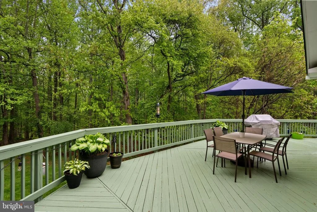 Photo of 19006 RAINES DRIVE