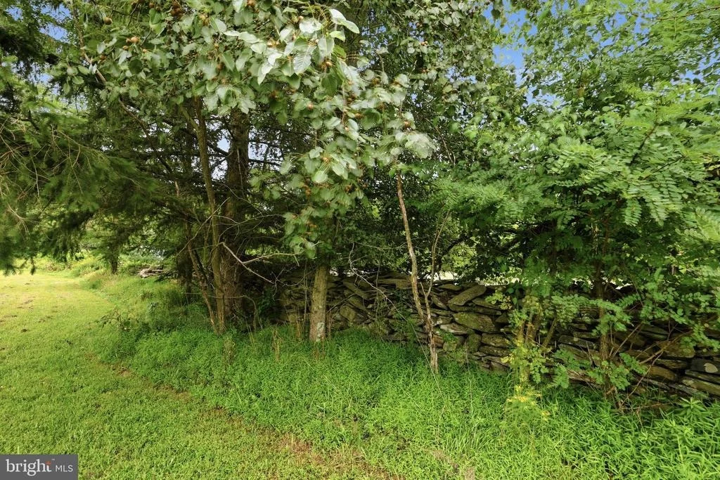Photo of 14417 RIDENOUR ROAD