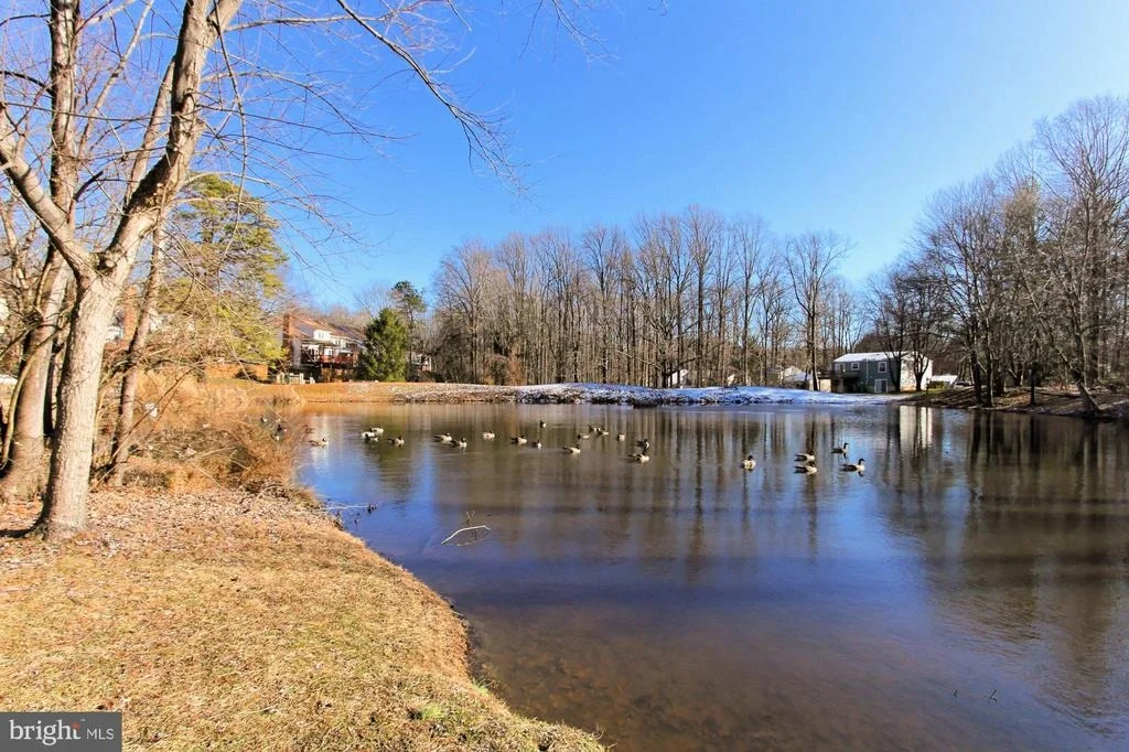 Photo of 9924 MANET ROAD
