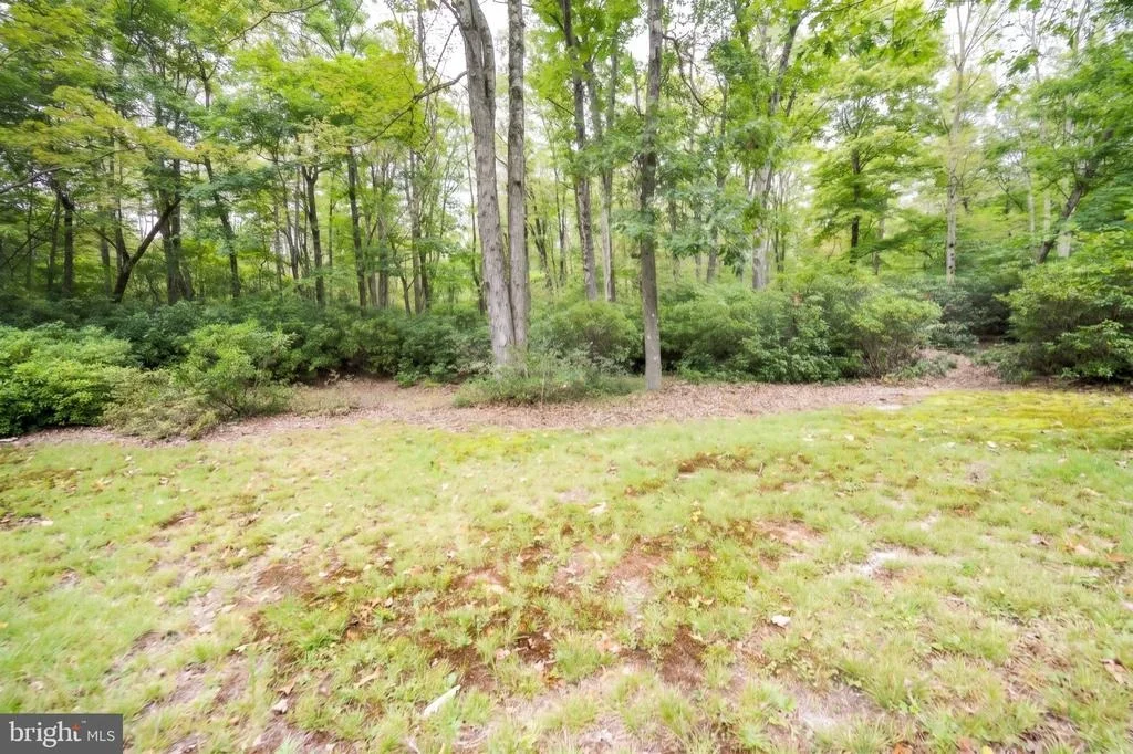 Photo of 252 RACOON DRIVE
