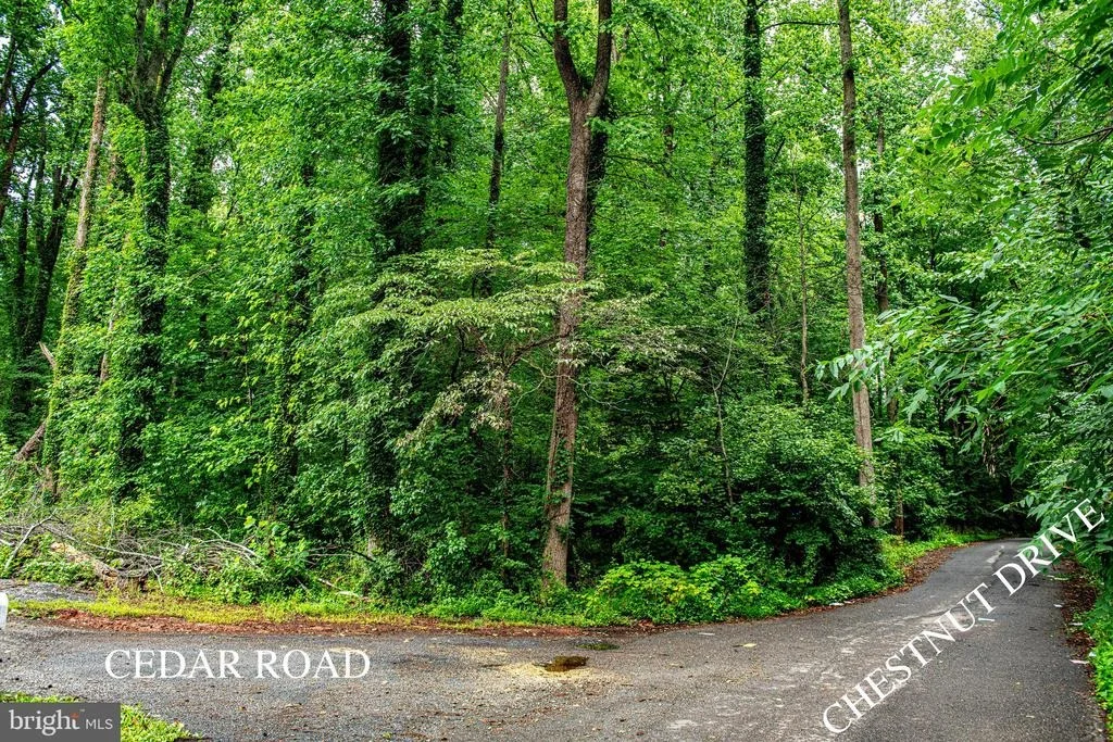 Photo of 6901 CEDAR ROAD