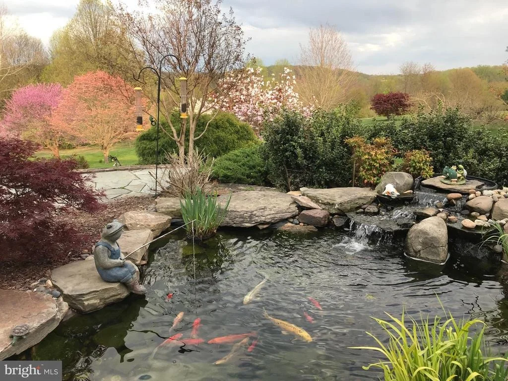 Photo of 20617 TOP RIDGE DRIVE