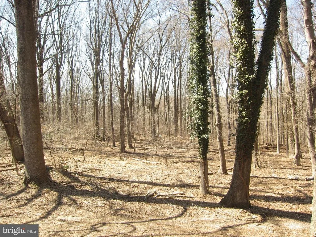 Photo of 315 SCOTT DRIVE