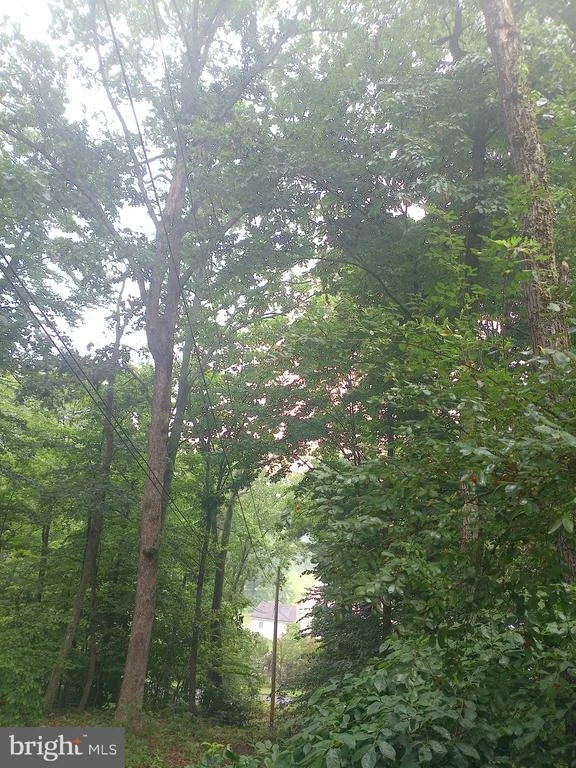 Photo of 12829 LANES RUN ROAD