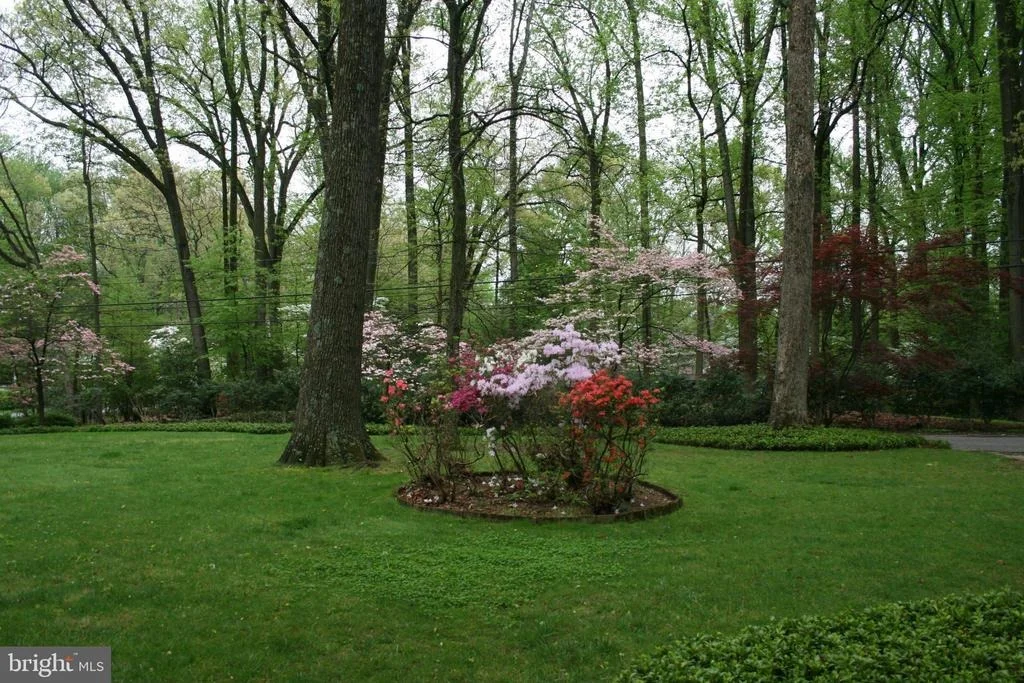 Photo of 916 COPLEY LANE