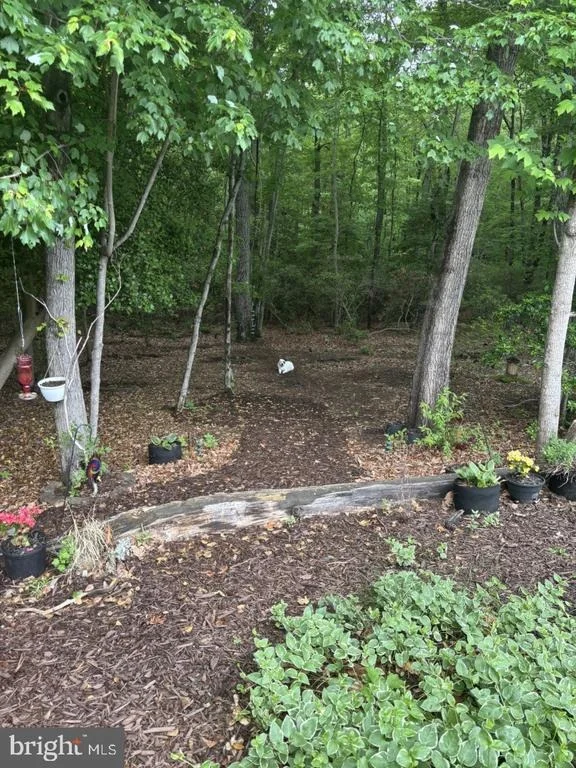 Photo of 4233 GREYS RUN CIRCLE
