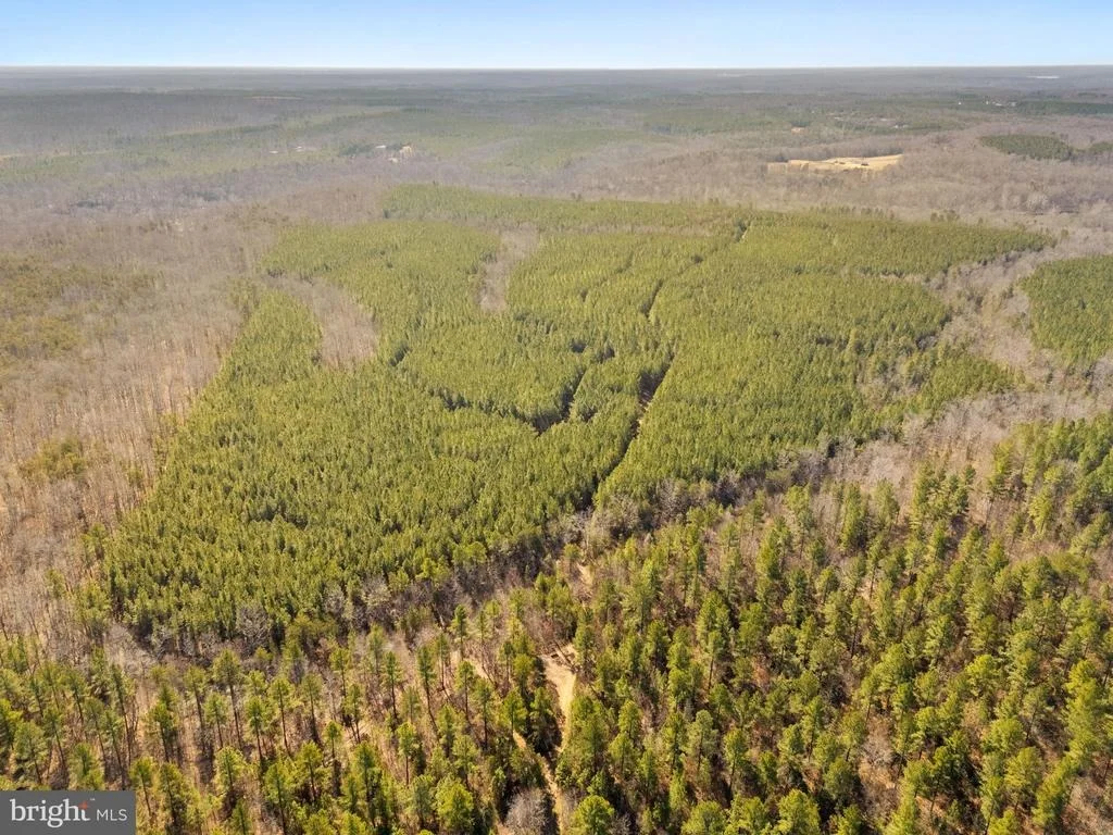 Photo of OFF SNAKE CASTLE ROAD