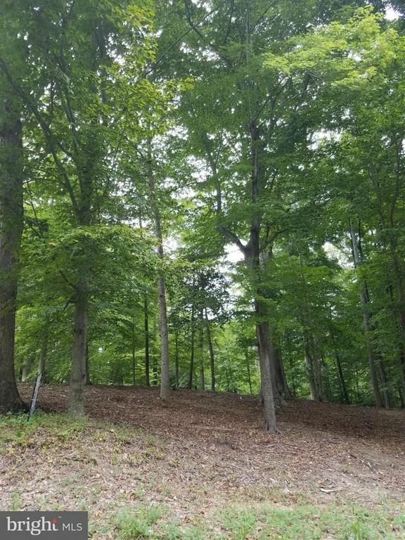 Photo of 426 COMSTOCK DRIVE