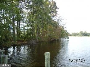 Photo of 37366 WOODS RUN CIRCLE