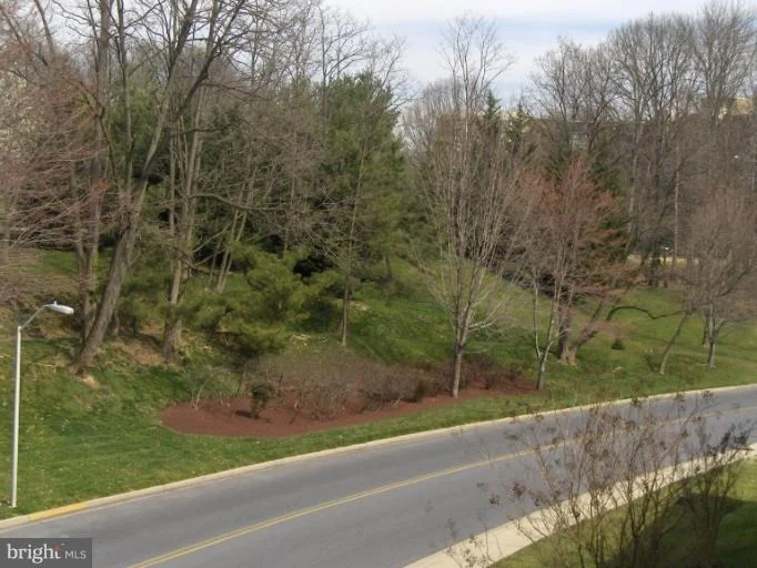 Photo of Unit 173C at 3511 FOREST EDGE DRIVE