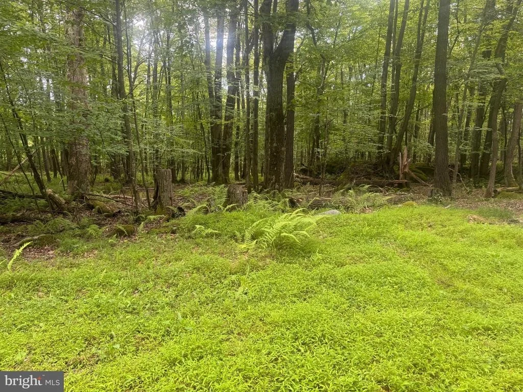Photo of Lot 18 BUCK DRIVE