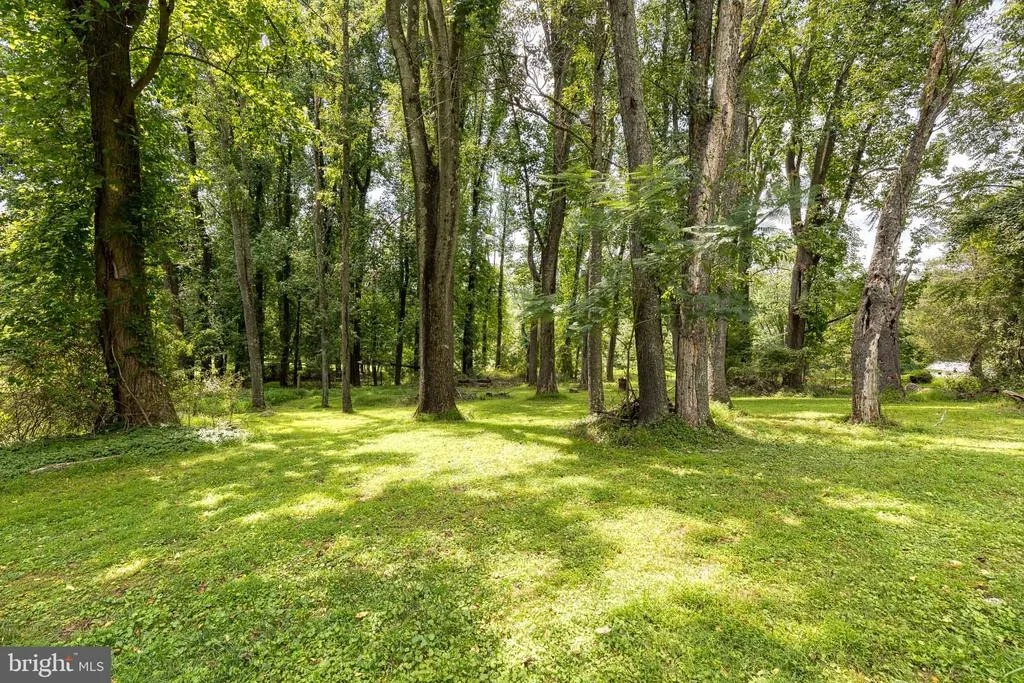 Photo of 13730 BALDWIN MILL ROAD